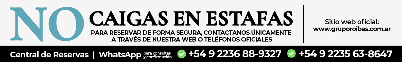 BANNERS WEB